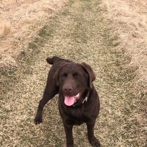 Meet your Posher, Adrian